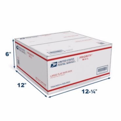 Picture of Priority Mail Large Flat Rate Box