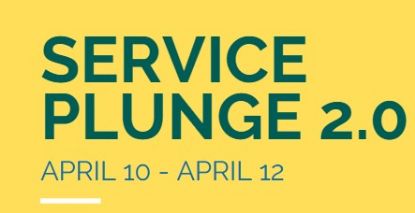 Picture of Service Plunge 2.0 