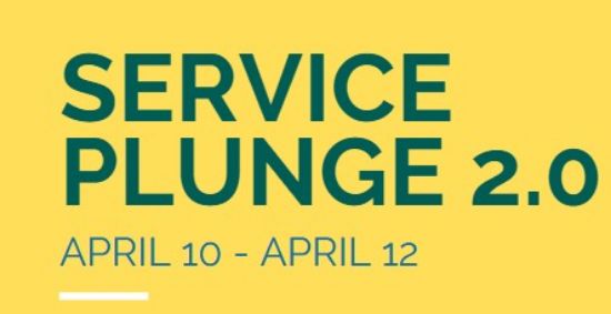 Picture of Service Plunge 2.0 