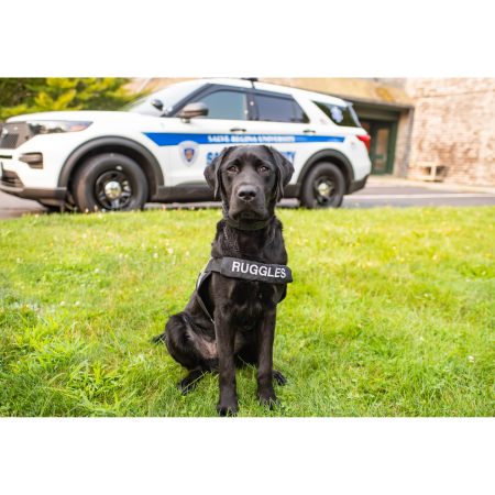 Picture for category Office of Public Safety